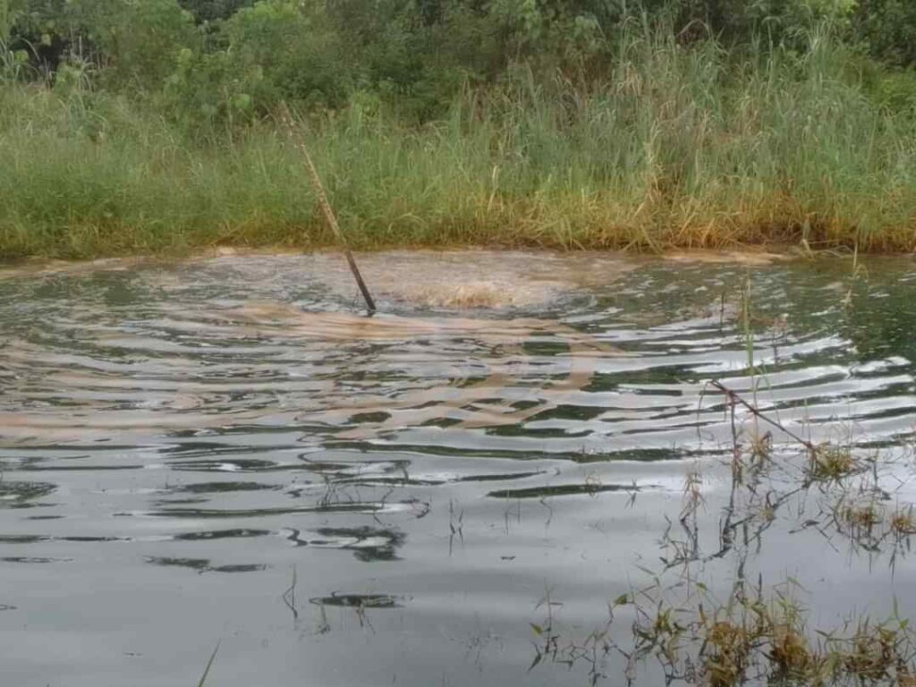 Spilled crude oil floating on the water surface.